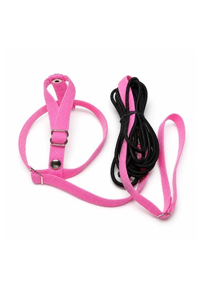 Jumbo Muhabbet Kuşu Tasması - Uçuş Takımı, Pembe