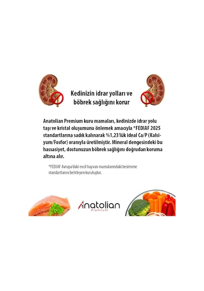 Anatolian Premium Tavuklu Yavru Kedi Maması 10 kg