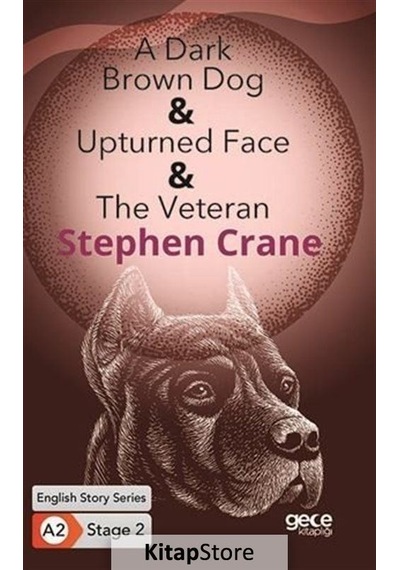 A Dark Brown Dog - Upturned Face - The Veteran - English Story Series - A2 Stage 2 - Stephen Crane - Gece Kitaplığı