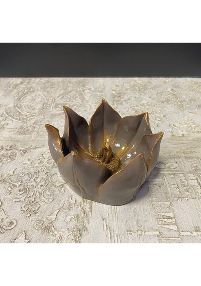 Küçük Lotus Nilüfer Çiçeği