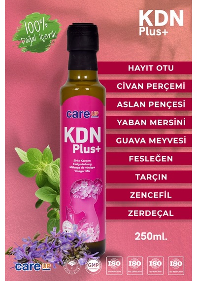 Care Up Kdn Plus Hayıt Otu, Civan Perçemi İçeren Sirke Karışımı 250 ML