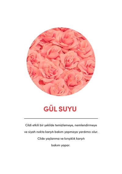 Tr Premium Gül Suyu 50 Ml