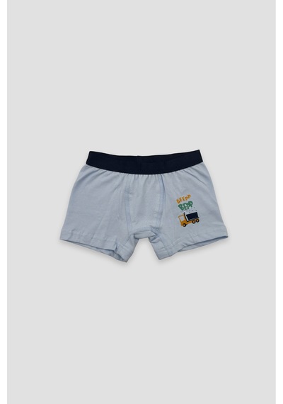 Defne Baby Erkek Çocuk Deseli Premium Pamuklu 2'li Boxer Seti Çok Renkli