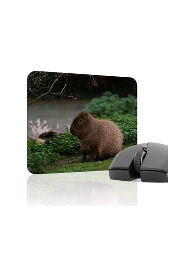 Capybara Kaymaz Dikişli Kauçuk Oyuncu Mousepad V5 - 22x18 Gaming Mouse Pad Fare Altlığı