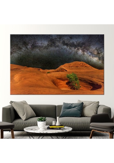 60x90cm 1 Parça Siyah Çerçeveli Kanvas Tablo