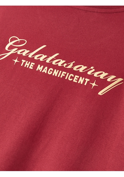 Gsstore Galatasaray Erkek T-shirt E252138 Bordo