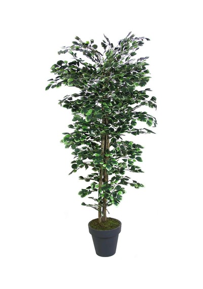 Yapay Paçira Ağacı Alacalı 170 cm