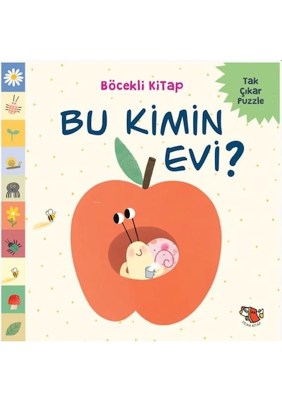 Bu Kimin Evi Uçan Kitap