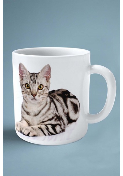 American Shorthair Kedi İsimli Kişiye Özel Baskılı Kupa Bardak Model 1 Çok Renkli