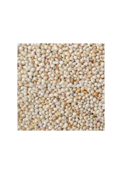 Ak Beyaz Darı 20 Kg Kuş Yemi - 713998772