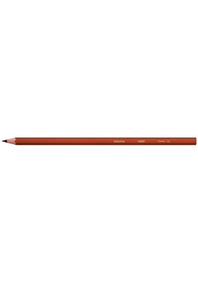 Bic Kids Evolution Kuru Boya Kalemi 36 Renk Metal Tüp 968491