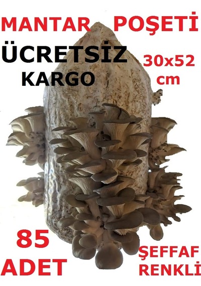 İstiridye Kavak Kayın Mantarı Ekim Poşeti 85 Adet