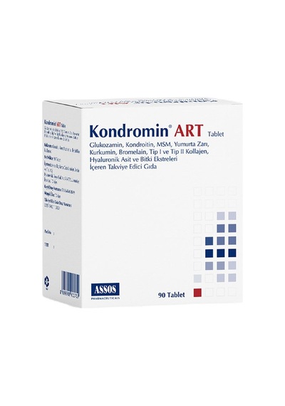 Kondromin Art Tablet 90 Tablet