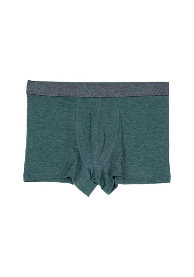 Bsm Erkek 2'li Yeşil Pamuklu Lastik Bel Strech Boxer Yeşil
