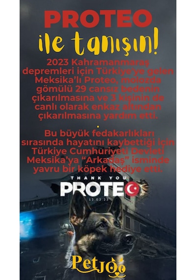 Petjoo 24.Proteo Sarı-Kırmızı Qr'lı Köpek Künyesi
