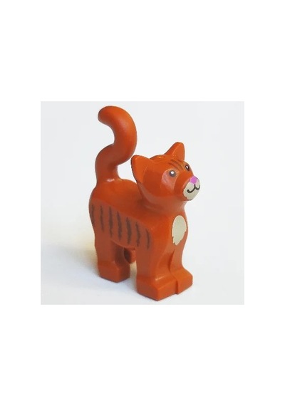 Orjinal Hayvanlar Kedi Cat 13786pb11