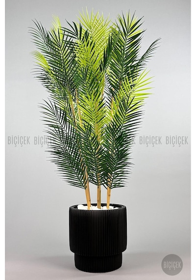 Biçiçek Yapay Areka Palmi̇yesi̇ 48 Yapraklı 150 Cm Si̇yah Vega Saksıda