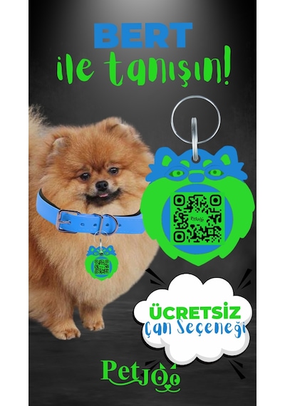 Petjoo 13.Bert Yeşil-Mavi Qr'lı Köpek Künyesi