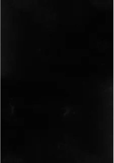 Çam Halı Tavşan Poly Rptf9060 Peluş Halı -siyah- Yüksek Kalite-ekstra Yumuşak - Kaymaz Özel Tabanlı - Özel Ölçü