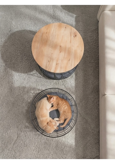 2'li Kedi Yuvalı Sepet Sehpa Metal Gövde Ahşap Tabla Minderli Orta Sehpa Çam