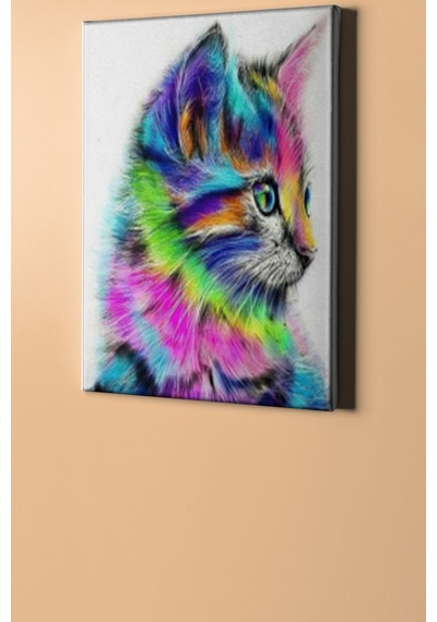 Webstyle Sayılarla Boyama Seti Kasnaklı Tatlı Pisicik 40 X 50 Cm