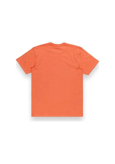Quiksilver Eqyzt07679 Tropical Rainbow Ss Mercan Erkek T-shirt Mercan
