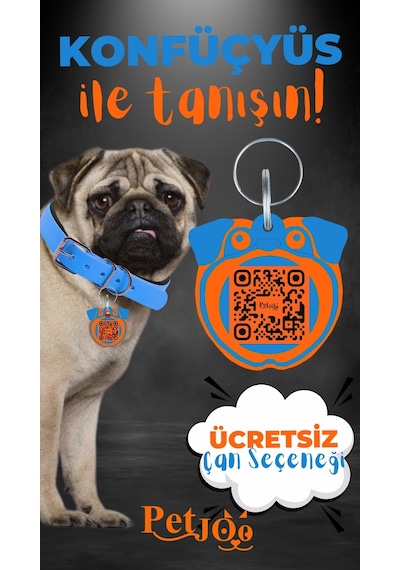 Petjoo 9.Konfüçyüs Turuncu-Mavi Qr'lı Köpek Künyesi