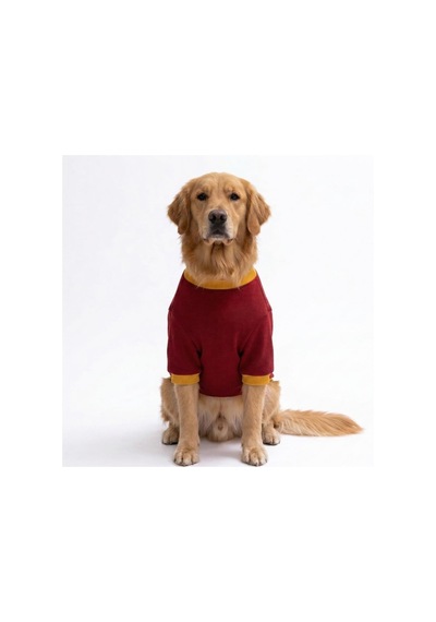 Pooh Honey Winnie Orta-büyük Irk İçin Köpek Sweatshirt Köpek Sweat Köpek Kıyafeti Pooh Honey Winnie Orta-büyük Irk İçin Köpek Sweatshirt Köpek Sweat Köpek Kıyafeti