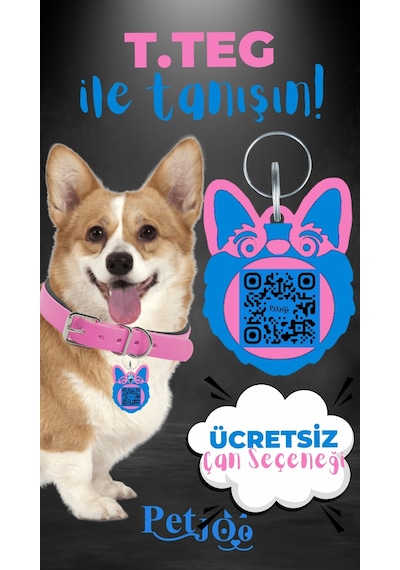 Petjoo 15.T.Teg Mavi-Pembe Qr'lı Köpek Künyesi