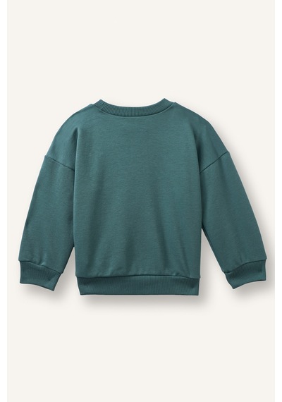 Defacto Paw Patrol Oversıze Sweatshirt Erkek Bebek I3541a526wngn501 Yeşil-gn501