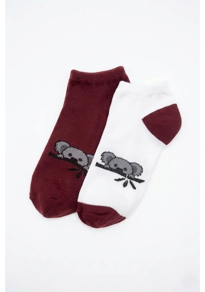 Cocole Socks Çocuk Patik Çorabı 2 Li Set Pamuklu Beyaz & Bordo Koala Desenli Çok Renkli