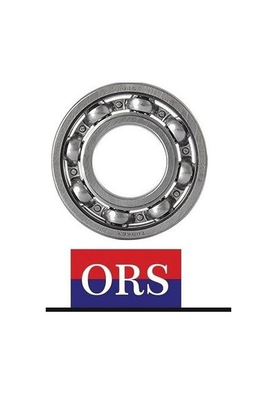 6309 C3 Rulman Normalden Büyük Radyal Boşluk