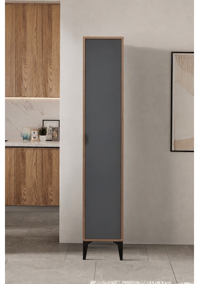 Arden Tek Kapaklı Çok Amaçlı Mutfak/kiler Dolabı 35x190x37 Cm Antrasit Arden Tek Kapaklı Çok Amaçlı Mutfak/kiler Dolabı 35x190x37 Cm Antrasit