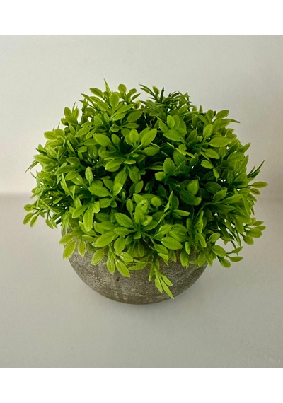 Yapay Şimşir Boxwood Çiçeği Antrasit Modern Saksılı Premium Ev Ofis Dekoru Yeşil