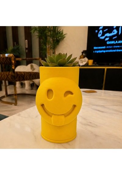 3d Baskı Emoji Planter - Göz Kırpan Yüzlü Sukulent Saksısı-sarı Çok Renkli