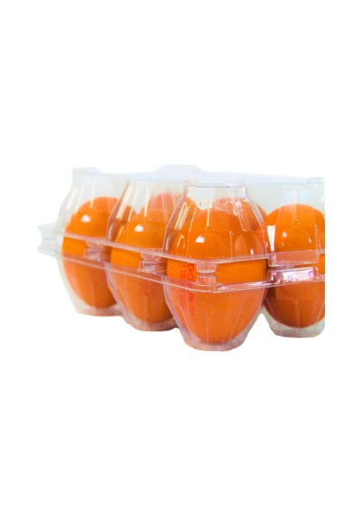 Plastik Yumurta Viyolü Şeffaf 6Lı 100 Adet