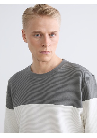 Lcw Vision Antrasit Bisiklet Yaka Renk Bloklu Erkek Sweatshirt