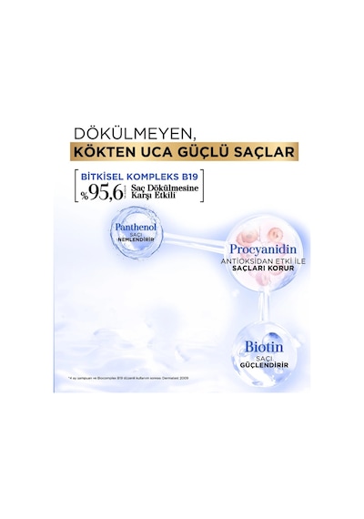 Şampuan 360ml Procyanidin + Biotin Anti-stress Şampuanı X 3 Adet Kuru