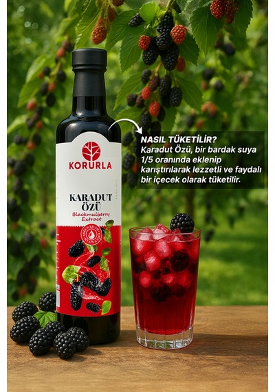 Karadut Özü 700 Gr Yoğun Kıvam
