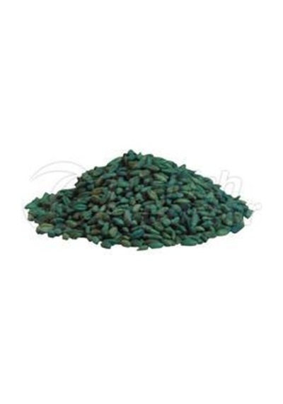 Fare Kulağı TohumuDichondra Repens1 KG