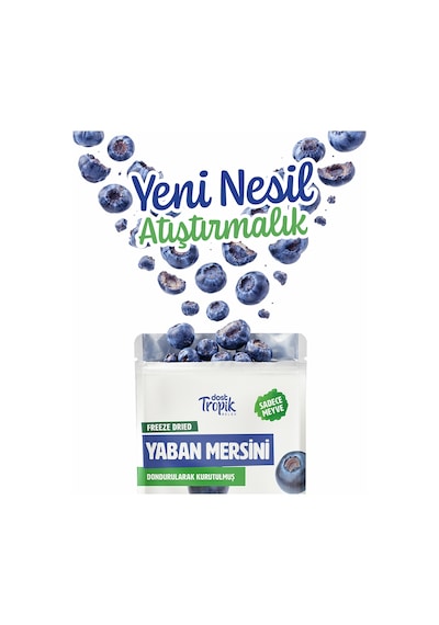 Dondurularak Kurutulmuş Yaban Mersini 18 G Freeze Dried Meyve Cipsi Çıtır Meyve Kurusu 3 Adet