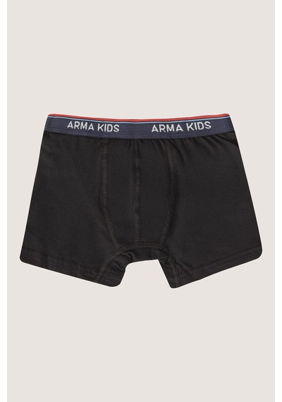 Arma Yıldız Erkek Çocuk Boxer Düz Renkli 3'lü Paket Pamuklu Likralı İç Çamaşırı Renklı