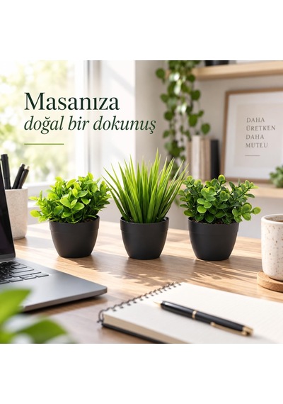 3 Lü Mini Yapay Çiçek Sukulent Seti, Saksılı Yapay Sukulent Bitki, Dekoratif Masaüstü Mini Bitk Belirtilmemiş