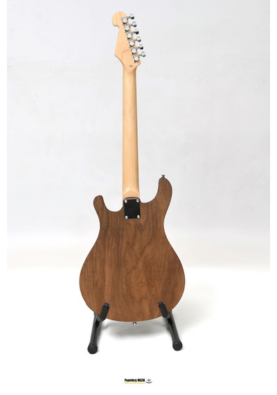 Elektro Gitar Telecaster Özel Ceviz Custom Yıllanmış Ağaç Kişiye Özel Honeyburst