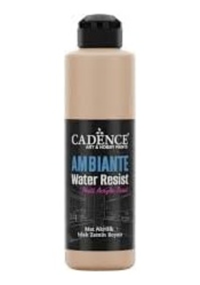 Ambıente Islak Zemin Boyası Aw-16 Karton 250ml + Katalizör 10gr