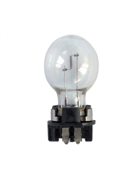 Photon 12 Volt Pw24w Ampul Takımı - 2 Adet