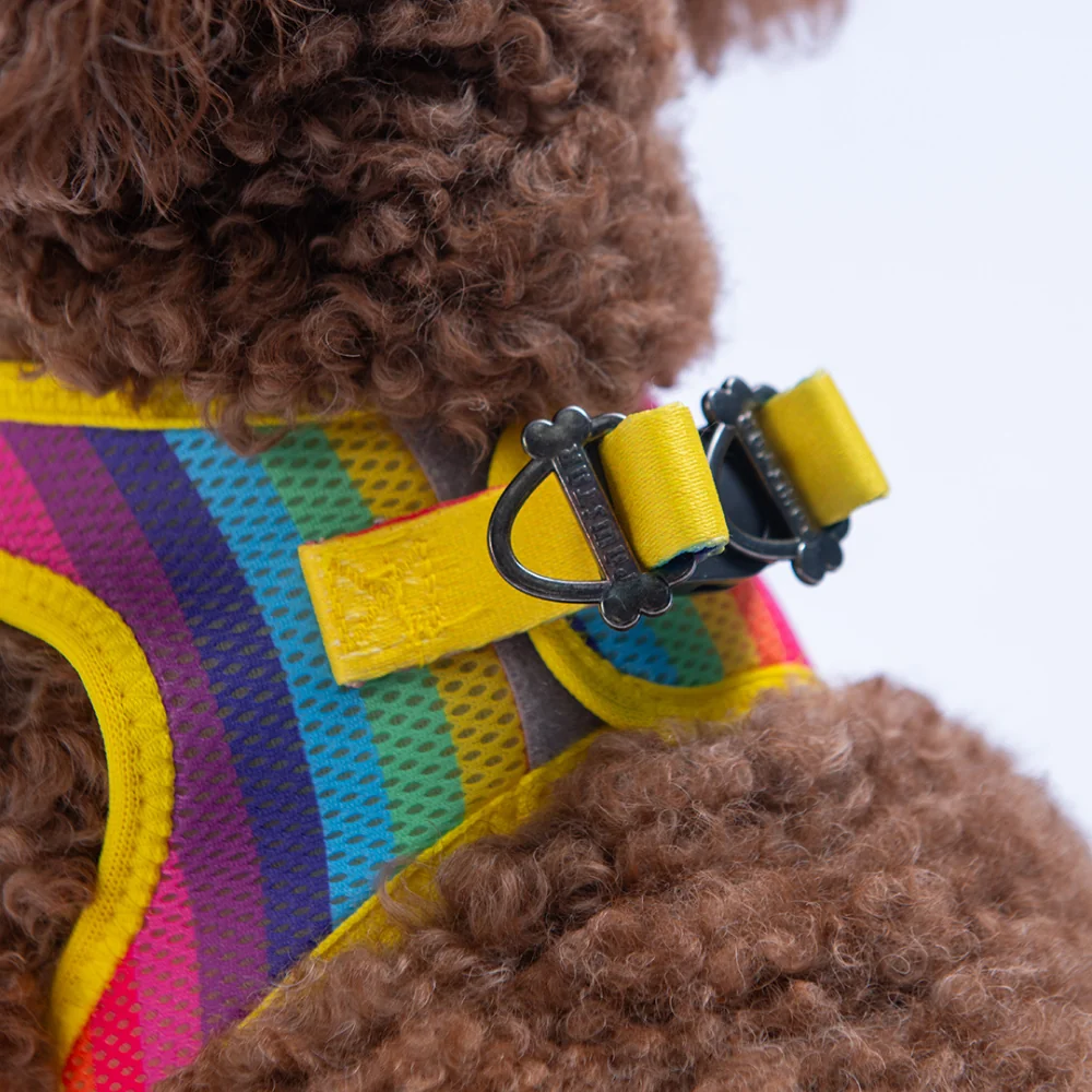 Rainbow Airmesh Kedi Köpek Göğüs Tasması L Çok Renkli