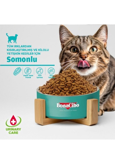 Bonacibo Sterilised Somonlu Kedi Maması 2 Kg & Sığır Etli Soslu Konserve Seti 6x400 Gr