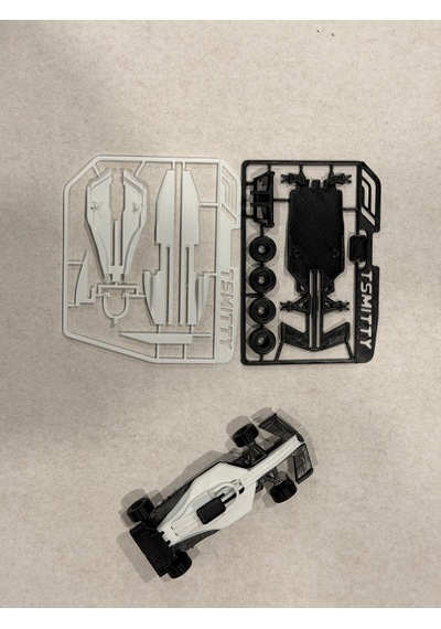 3d Baskı Formula 1 Kit Kart Kendin Yap Yarış Arabası Dekor Seti Koleksiyonluk Siyah Beyaz