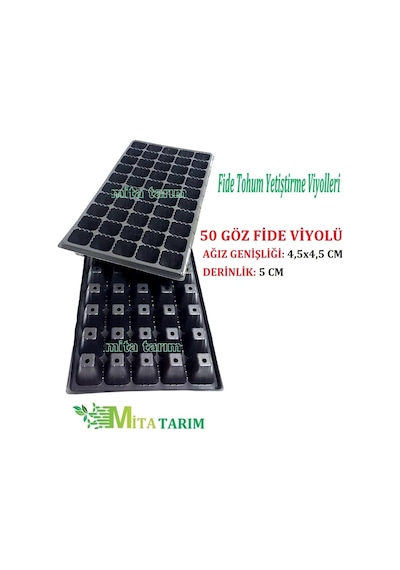 Fide Viyolü, 6 Adet, 50 Gözlü, Fide Viyol, Saksı Çeşitleri (394041501)